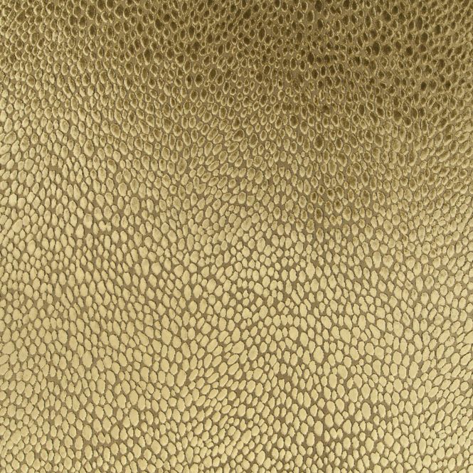 Hovedbilde JAB - SPLENDIDO 1-4173-041